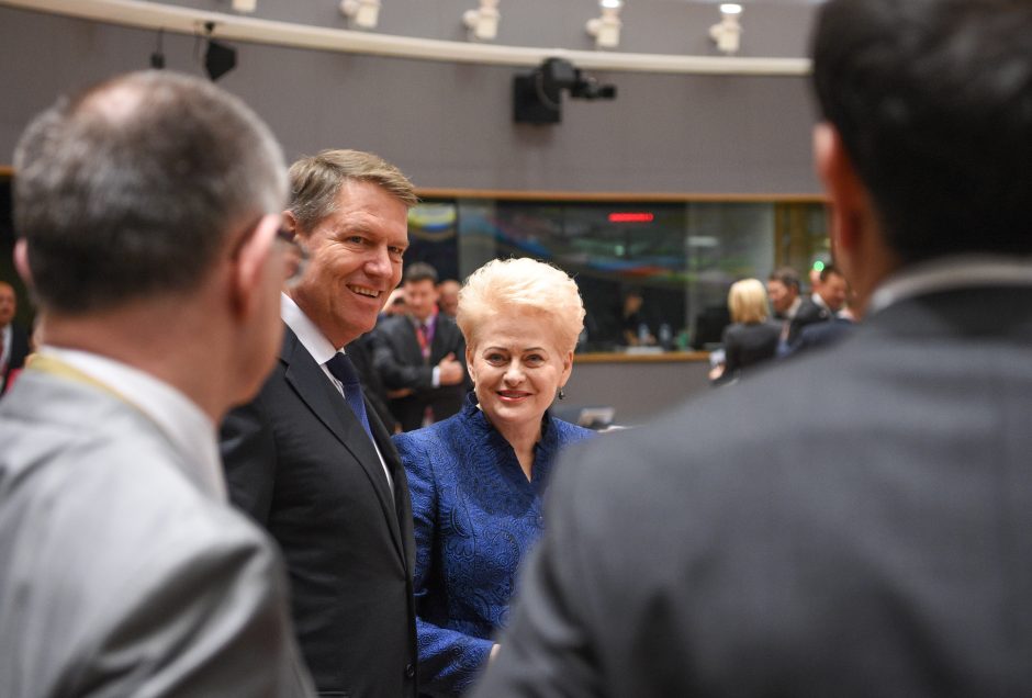 D. Grybauskaitė pasigenda konkretumo siūlant sudaryti euro zonos biudžetą