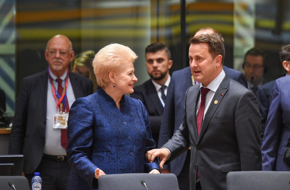 D. Grybauskaitė pasigenda konkretumo siūlant sudaryti euro zonos biudžetą