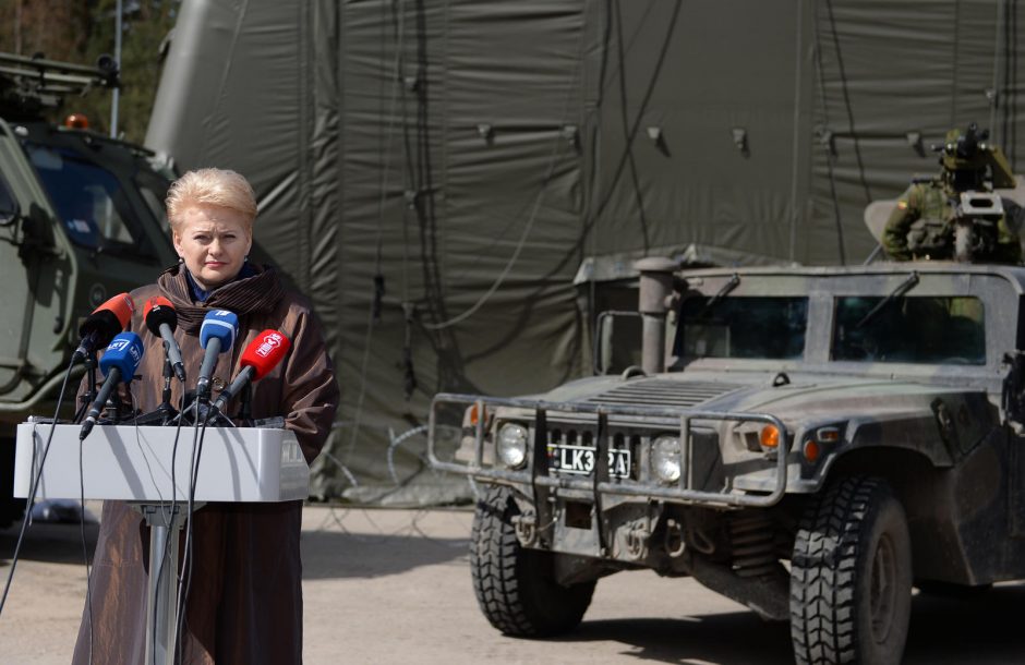Lietuvos saugumo problemos ir D. Grybauskaitė kaip „paskutinis bastionas“