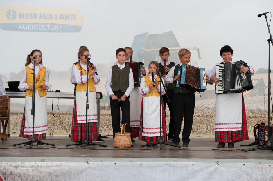 Javų derlius bus panašus kaip pernai?