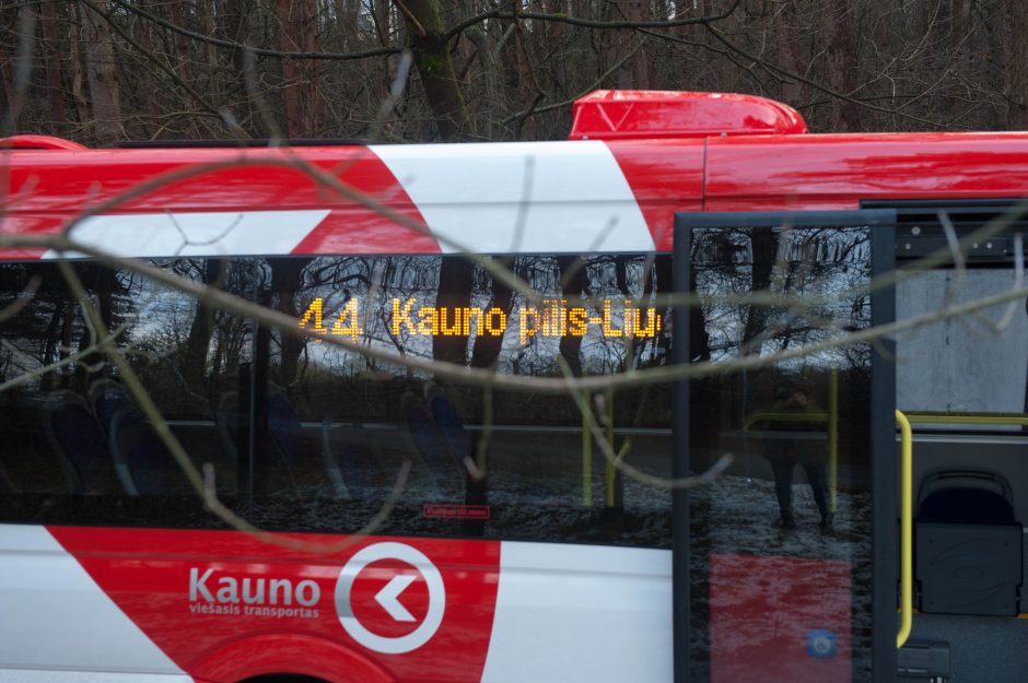 Šventinė vežėjų dovana kauniečiams – nauji mažieji autobusai