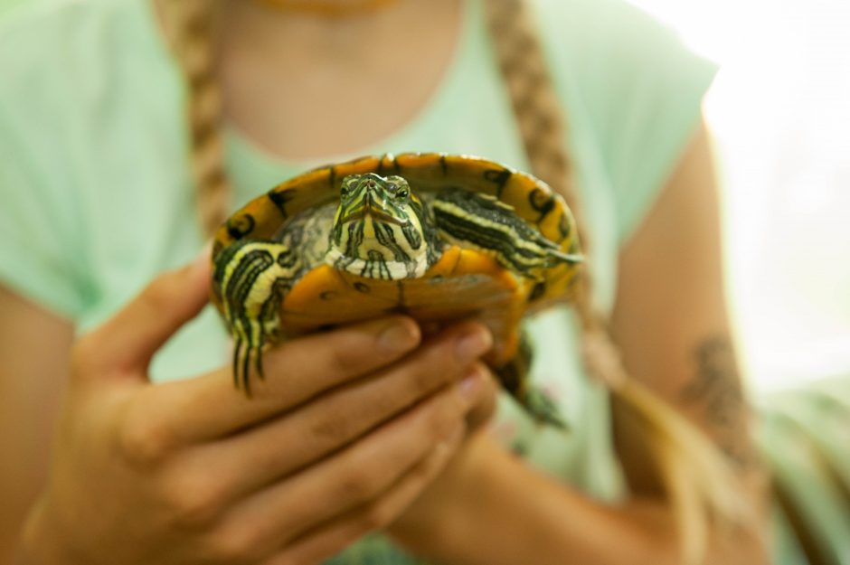 Emilės svajonė – savas zoologijos sodelis