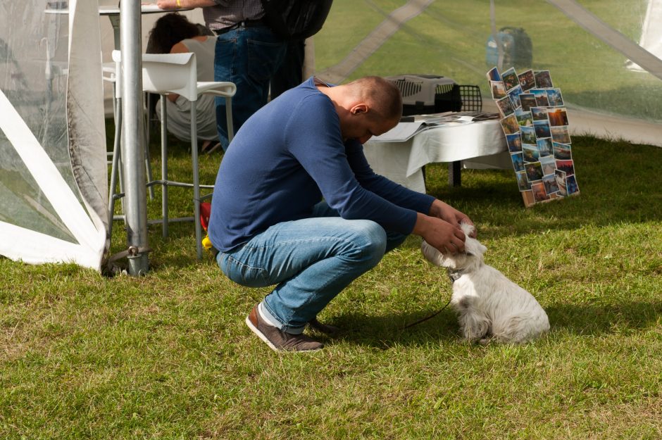 Idėjų festivalyje – aršios diskusijos dėl alkoholio draudimų