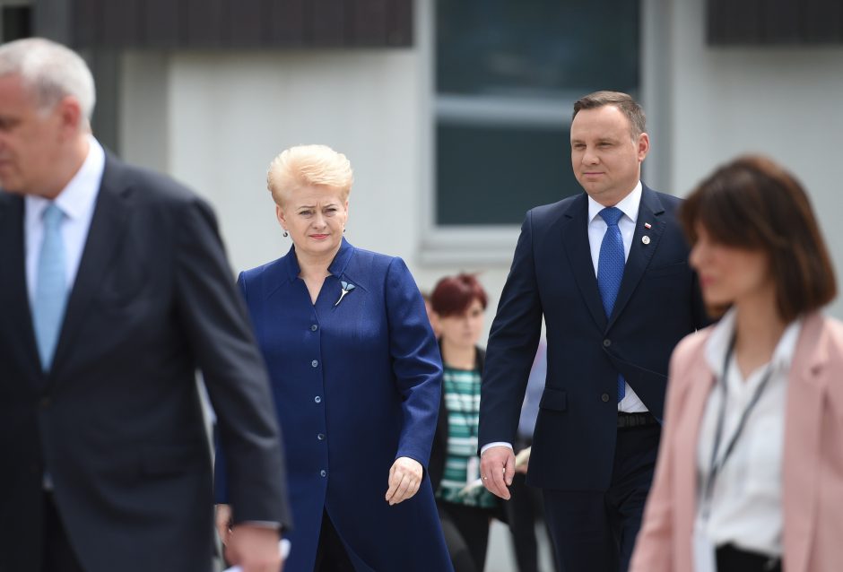 D. Grybauskaitė kartvelų kalba sveikino Sakartvelo žmones