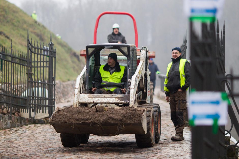 Seimo pirmininkas pasigedo ilgalaikės Gedimino kalno priežiūros strategijos