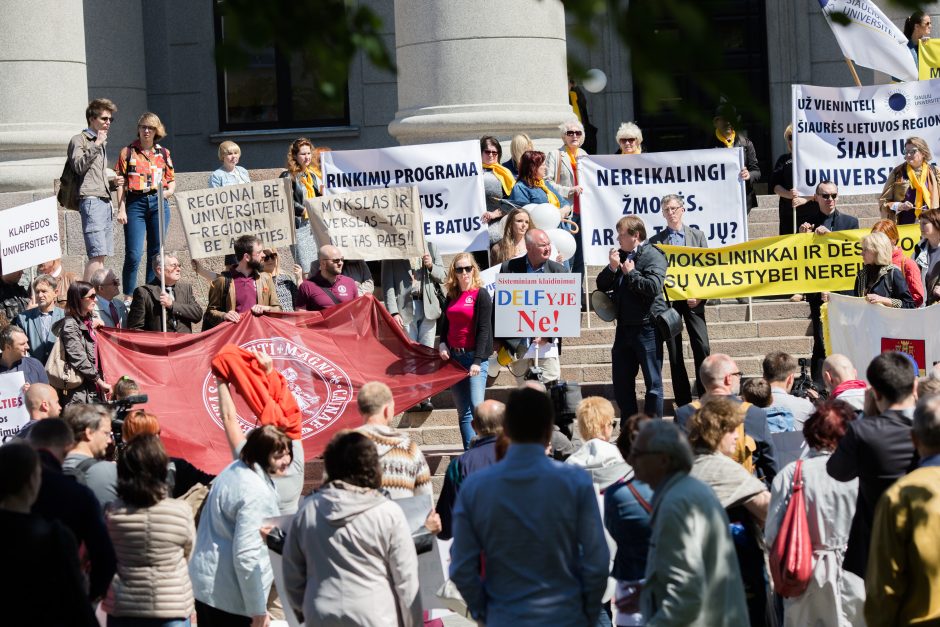 Po Seimo langais – mitingas dėl universitetų reformos