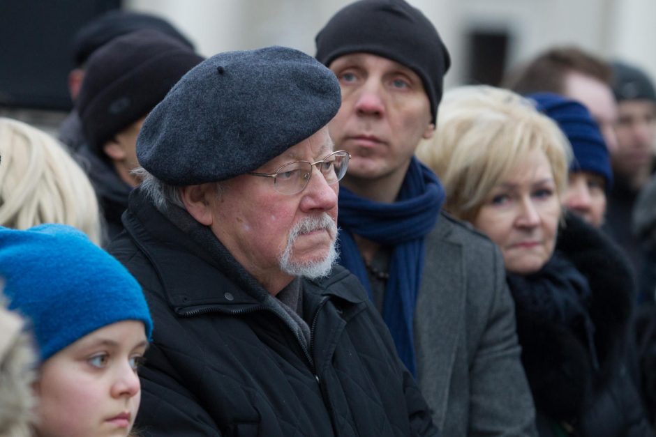 Vėliavos dieną Gedimino bokšte iškelta trispalvė