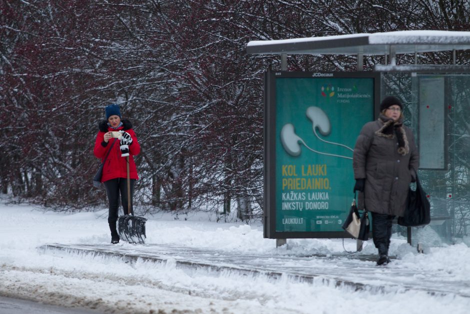 Kelininkų žiema neužklupo netikėtai