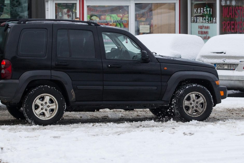 Kelininkų žiema neužklupo netikėtai