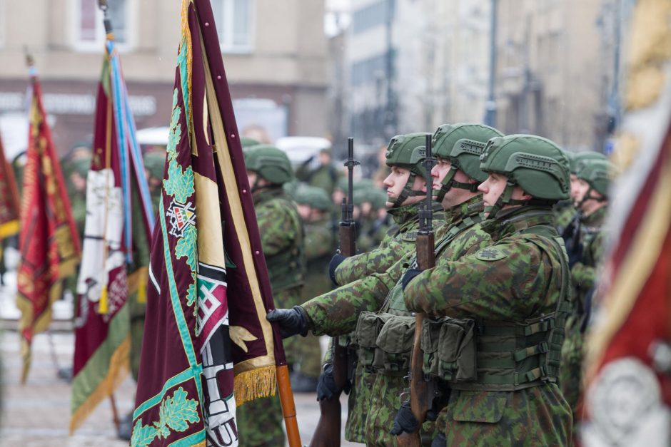 Iškilminga savanorių pajėgų rikiuotė