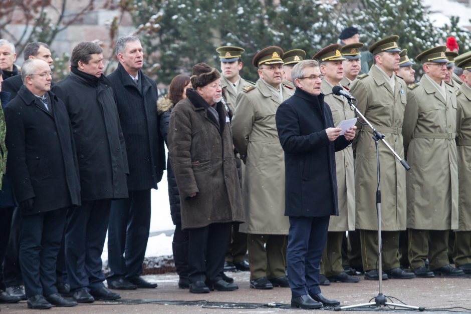 Iškilminga savanorių pajėgų rikiuotė