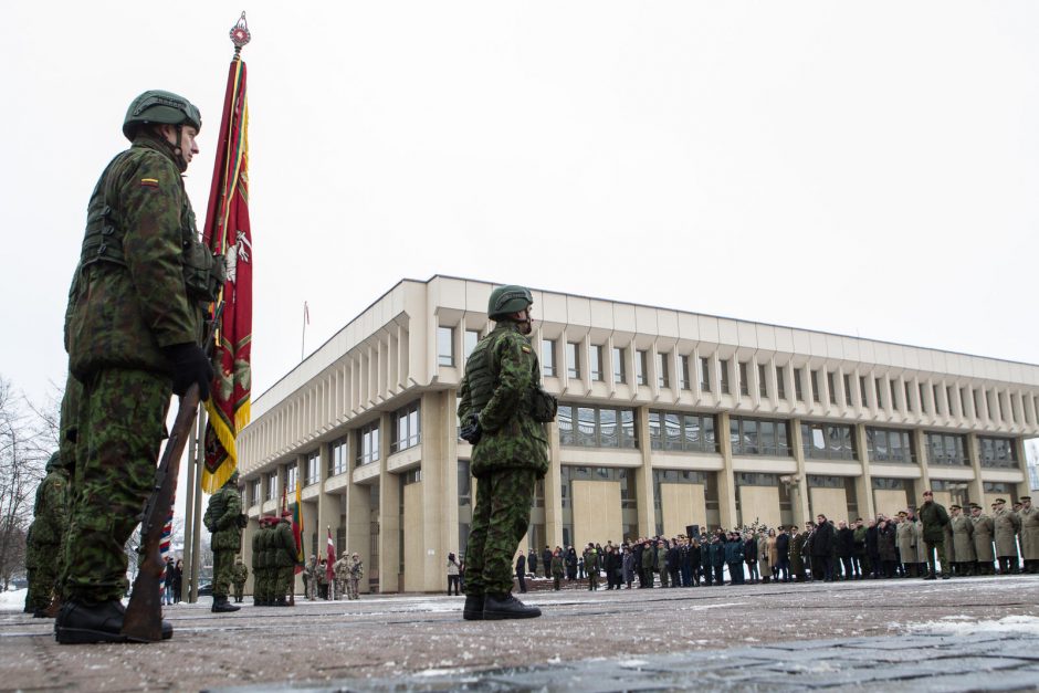 Iškilminga savanorių pajėgų rikiuotė