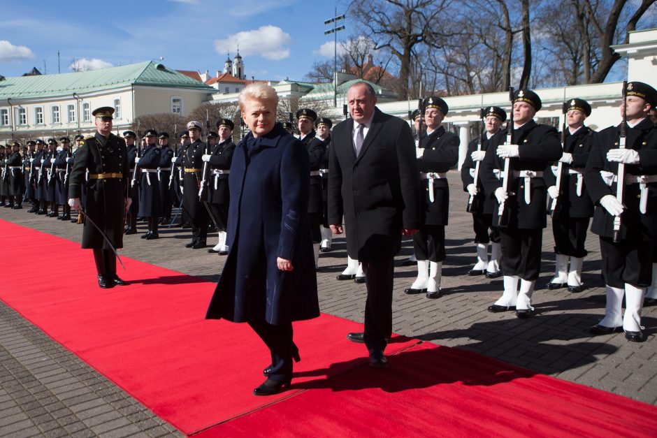 Gruzijos prezidentas prašo Lietuvos ginti jos interesus NATO