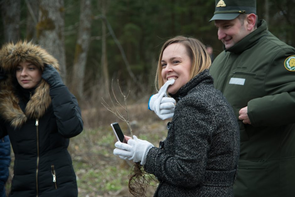 Izraelio ir Lietuvos diplomatinių santykių 25-mečiui – ąžuolų giraitė 