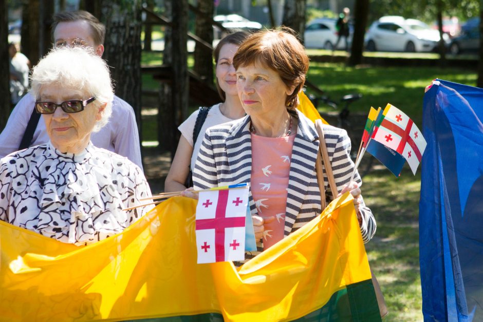 Pikete Vilniuje dėl Gruzijos žemių okupacijos pasirodė ir M. Saakašvilis