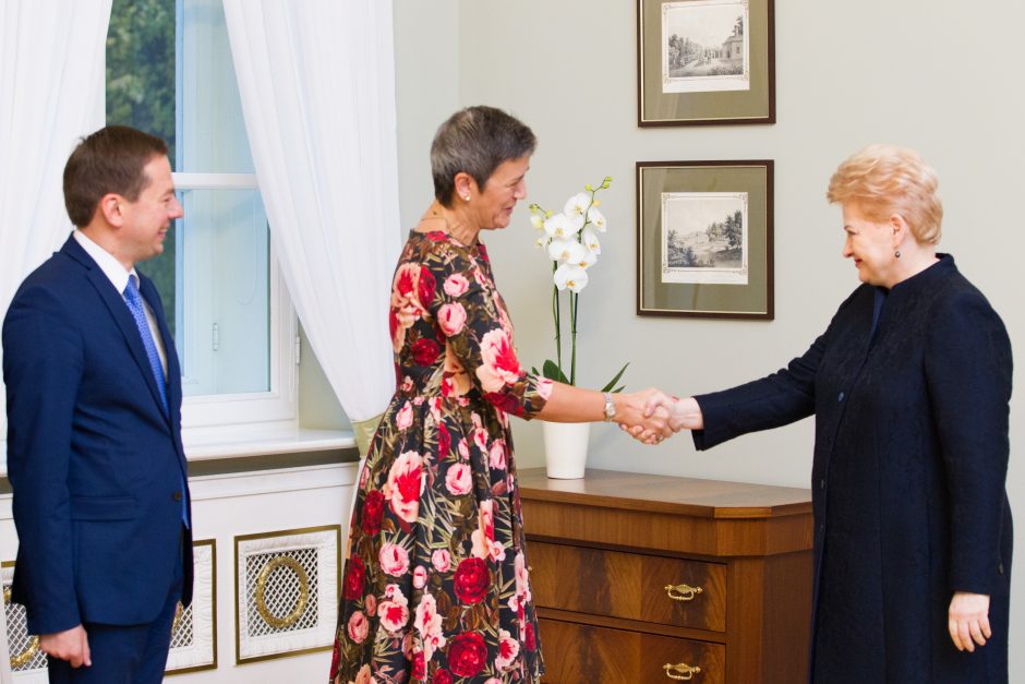 D. Grybauskaitė: „Gazprom“ turėtų kompensuoti Lietuvai už brangias dujas