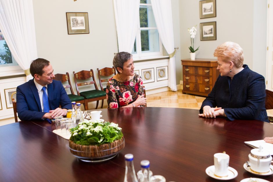 D. Grybauskaitė: „Gazprom“ turėtų kompensuoti Lietuvai už brangias dujas