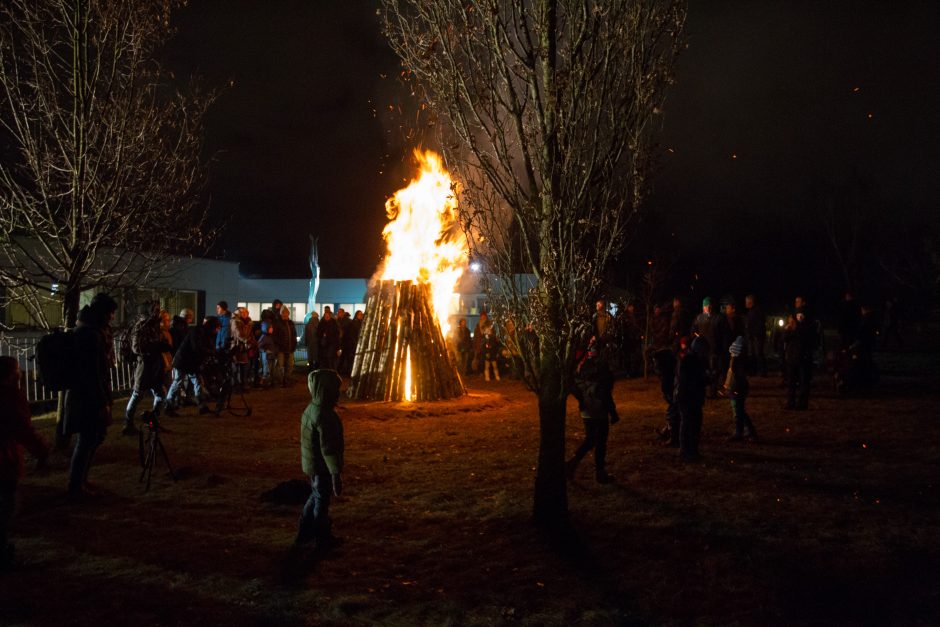 Virš tūkstančio žmonių Laisvės gynėjų dieną minėjo prie Seimo