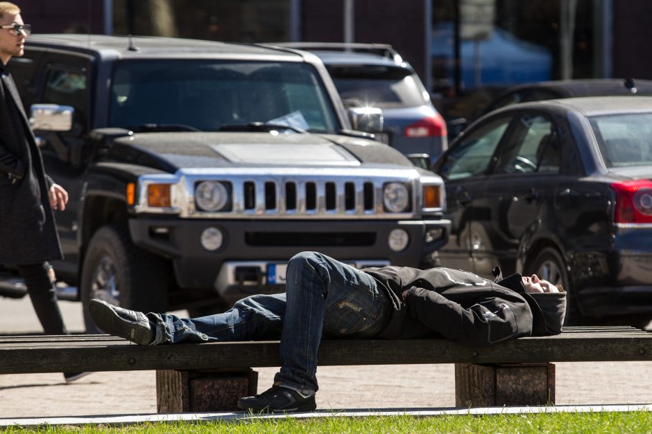 Prie Seimo kanapių entuziastai rengia Kanapių kultūros dieną