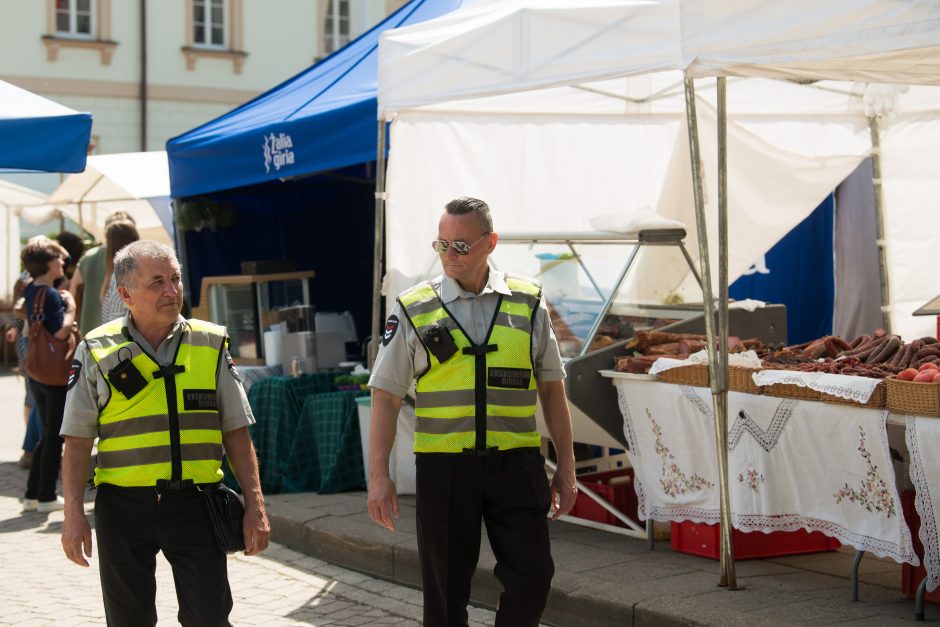 Vilniuje prasideda festivalis „Skamba skamba kankliai“