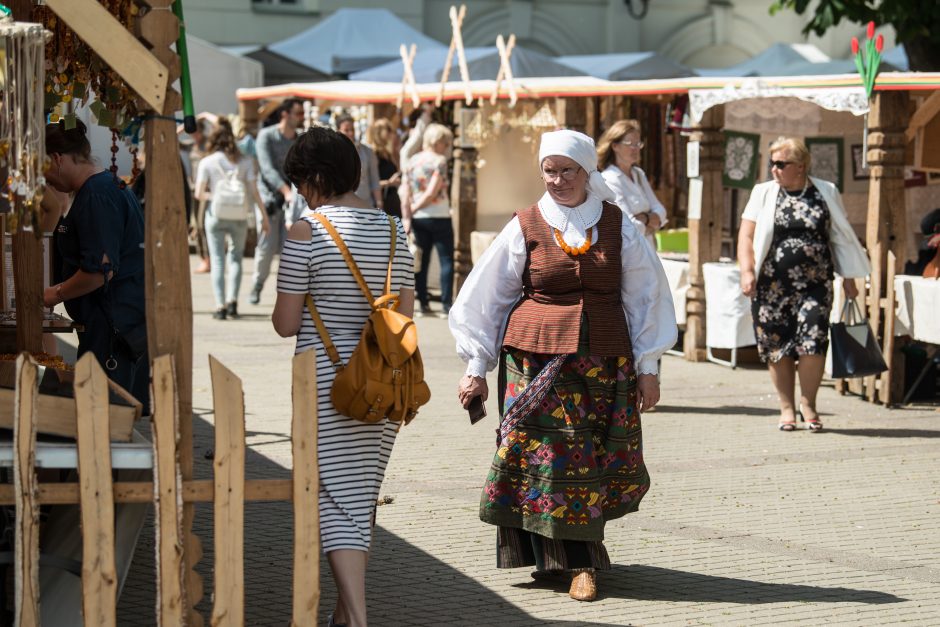 Vilniuje prasideda festivalis „Skamba skamba kankliai“