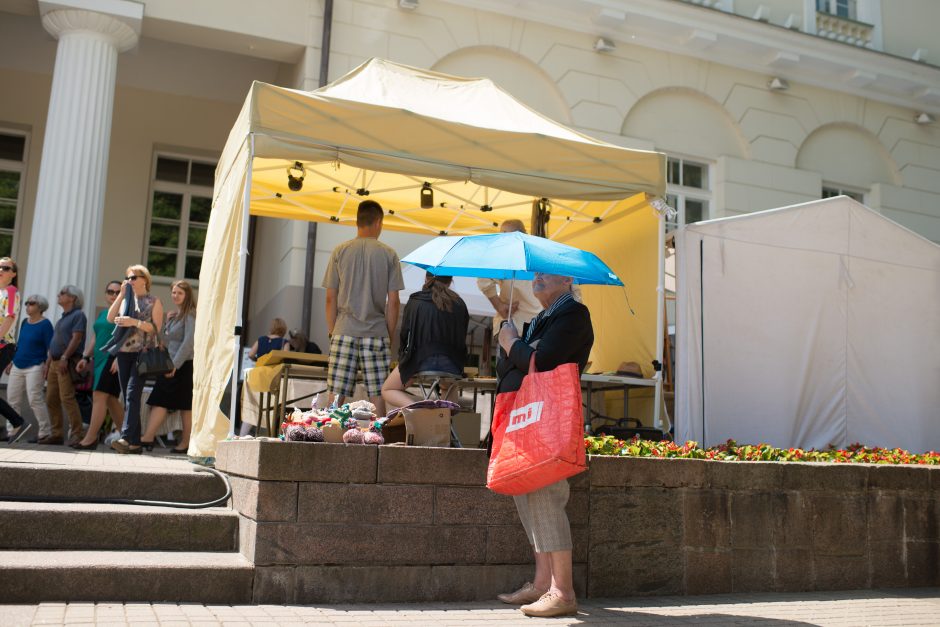 Vilniuje prasideda festivalis „Skamba skamba kankliai“