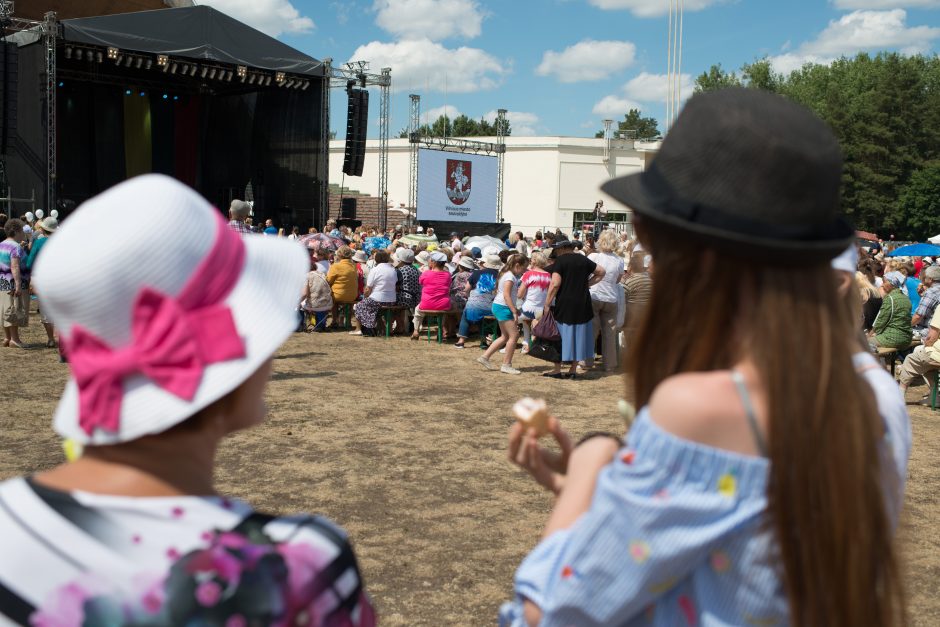 Prie Rusijos ambasados pagerbtas B. Nemcovas, Vingio parke – rusų kultūros diena