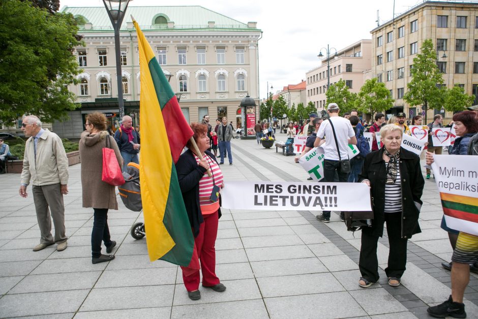 Dešimtys žmonių mitinge protestavo prieš šauktinių grąžinimą