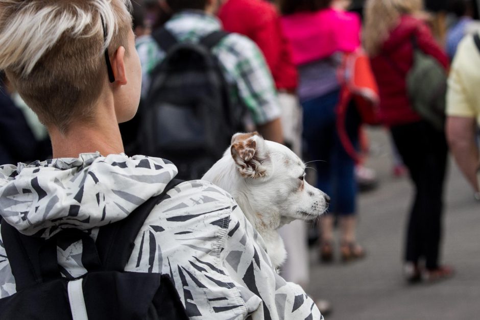 Vilniuje prasidėjo folkloro festivalis „Skamba skamba kankliai“