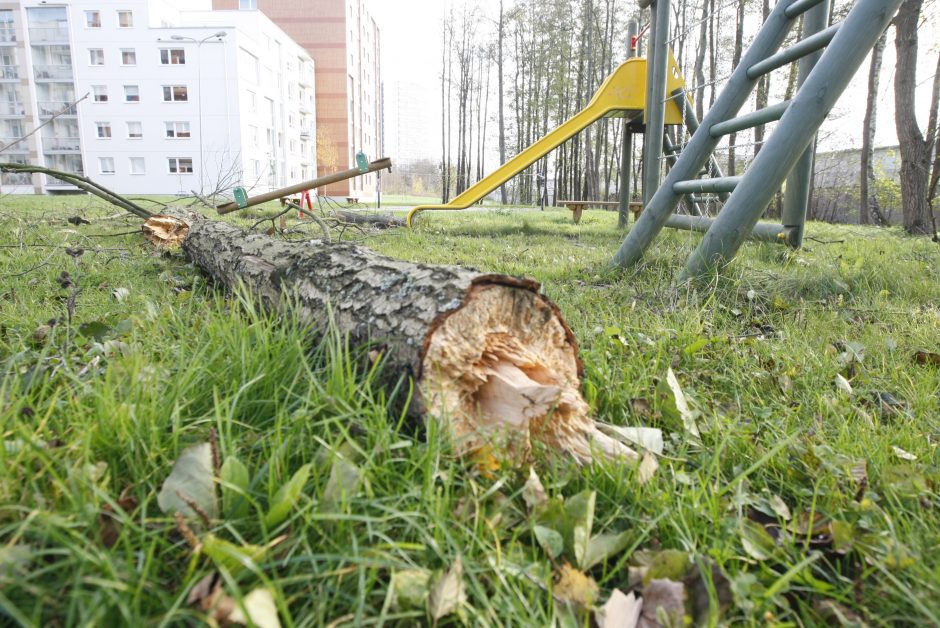 Audra Klaipėdoje trikdė uosto darbą, Danėje teko gaudyti dreifavusį laivą 