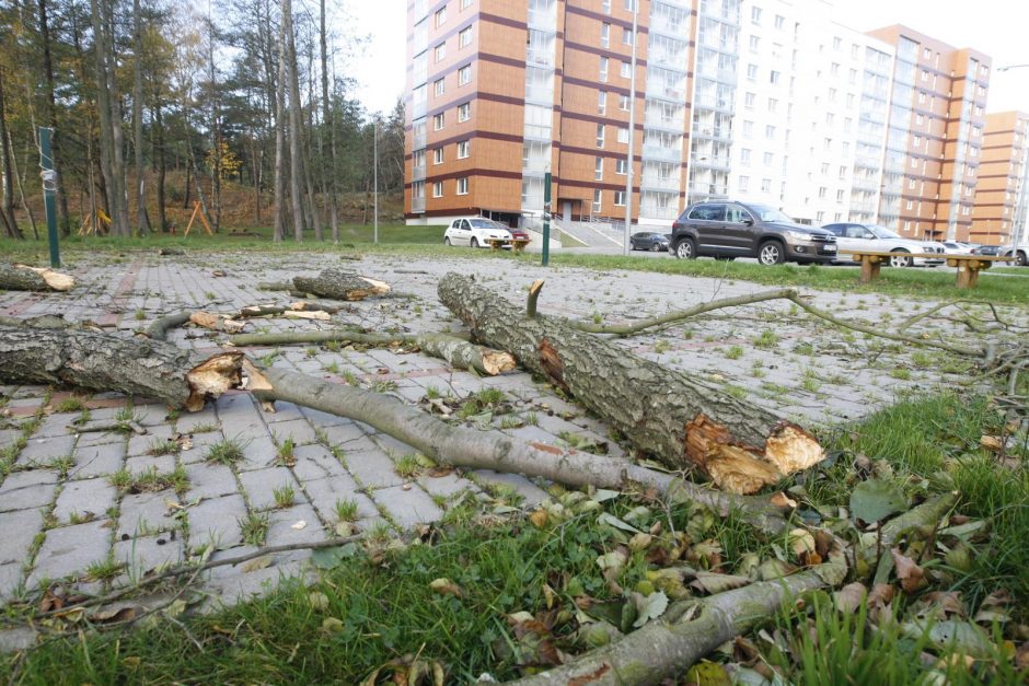 Audra Klaipėdoje trikdė uosto darbą, Danėje teko gaudyti dreifavusį laivą 