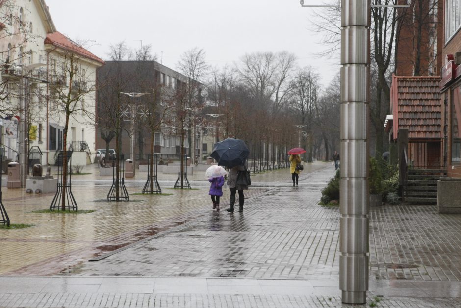 M. Mažvydo alėjos verslininkams – valdžios priekaištų lavina