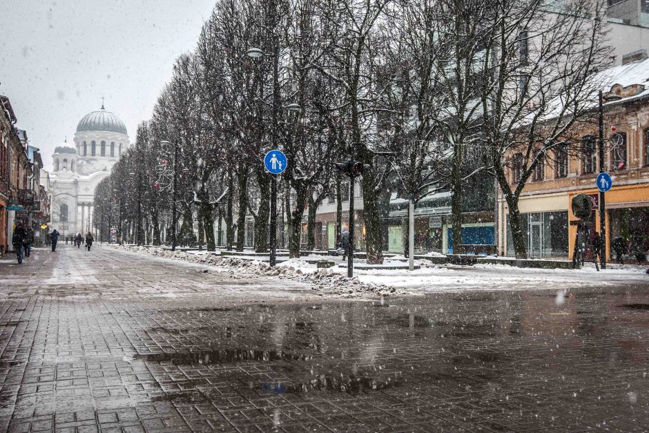 Kas stabdo Laisvės alėjos rekonstrukciją?