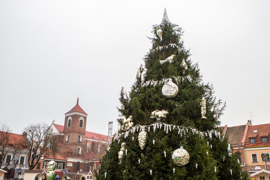 Kauną garsinančių eglių kūrėja: viskas, paskutinis kartas