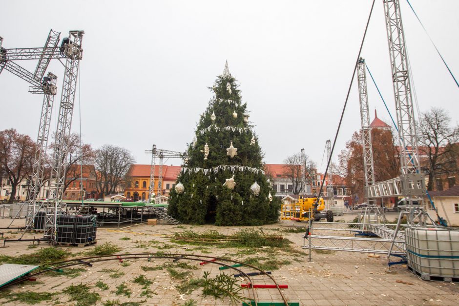 Kauną garsinančių eglių kūrėja: viskas, paskutinis kartas