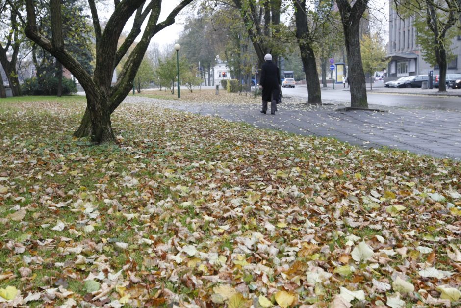 Lapus uostamiestyje šluos dažniau