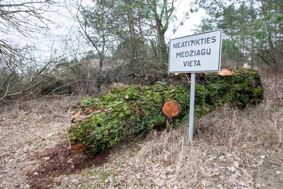 Zapyškio asfaltbetonio bazė gyventojus varo į kapus?