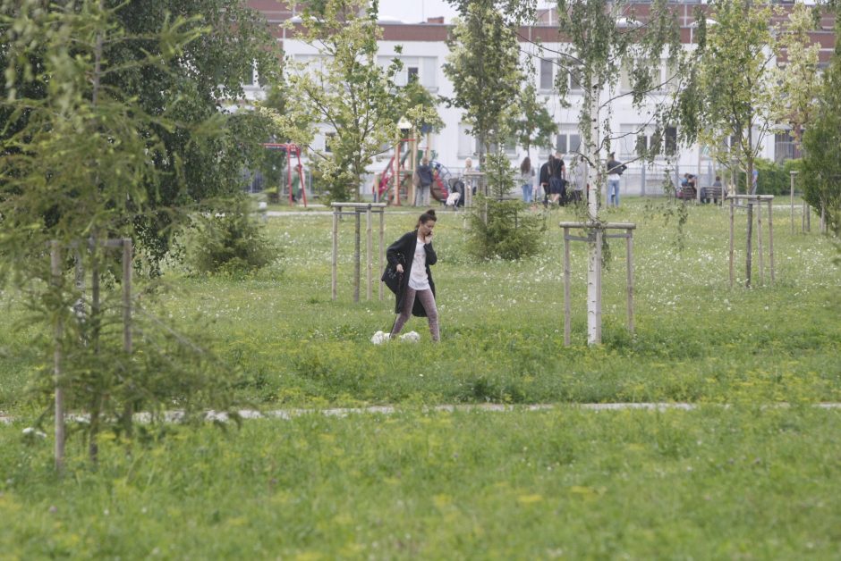 Sąjūdžio parkas – vieta košmarams