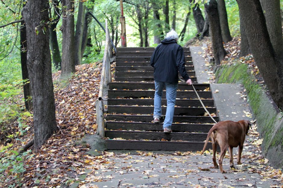 Už Vytauto parko tvarkymą teks mokėti daugiau