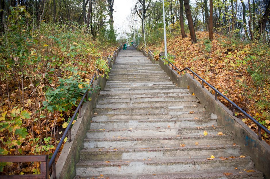 Pėsčiųjų viadukai laukia remonto