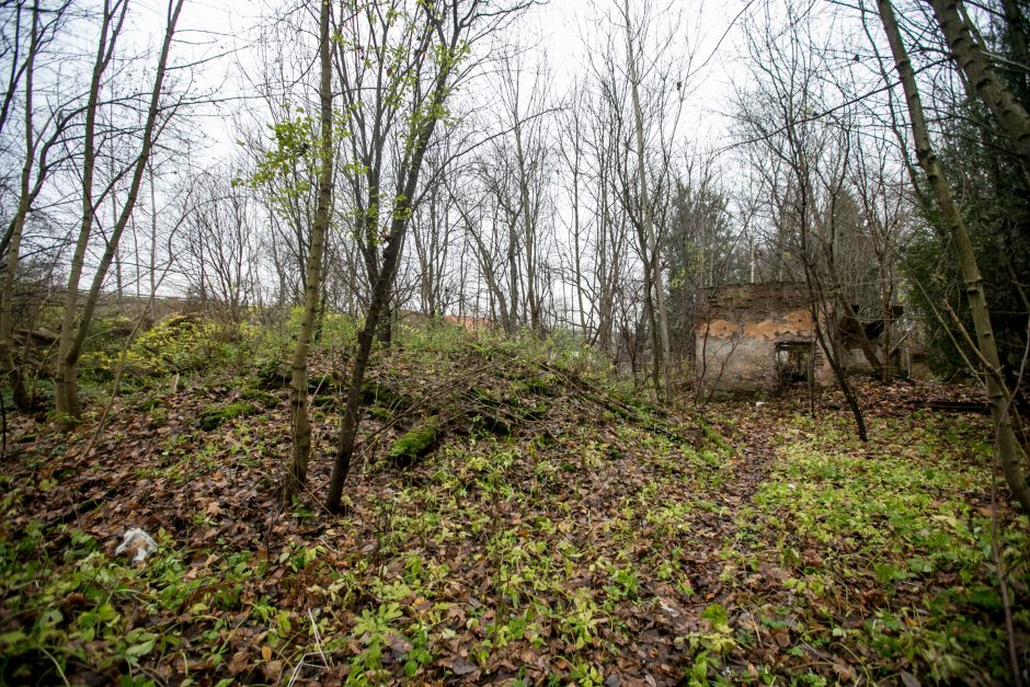 Aukciono sąrašuose – ir dvarai, ir mokyklos