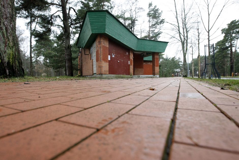 Siekis – užvaldyti valstybinę žemę