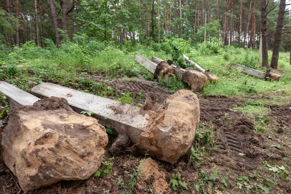 Ilgai planuotos plėtros pradžia: Petrašiūnų kapinėse jau zuja darbininkai