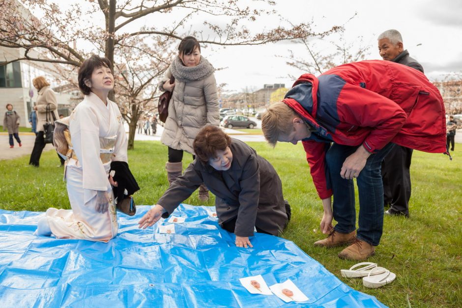 Sužydėjusiam sakurų parkui sostinėje – jau 15 metų