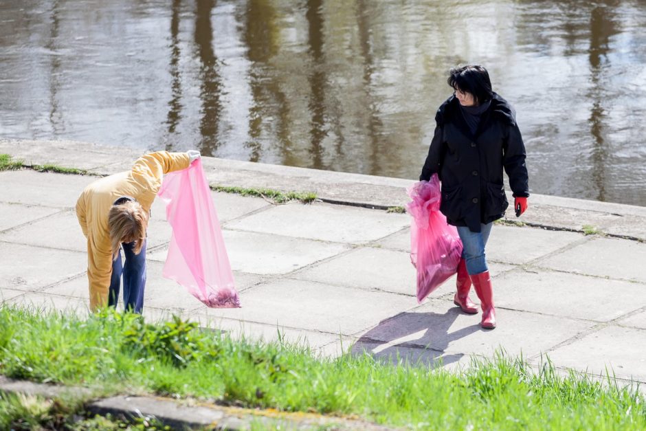 „Darom“ Vilniuje: išvalytos Neries pakrantės, parkai ir pasodintas ąžuolas