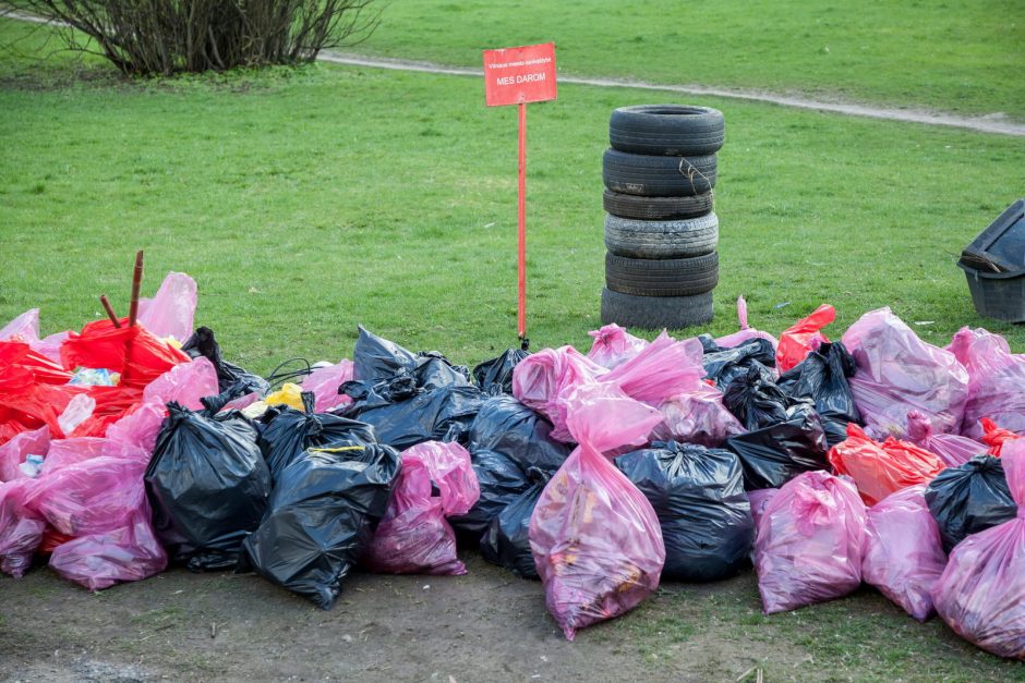 „Darom“ Vilniuje: išvalytos Neries pakrantės, parkai ir pasodintas ąžuolas