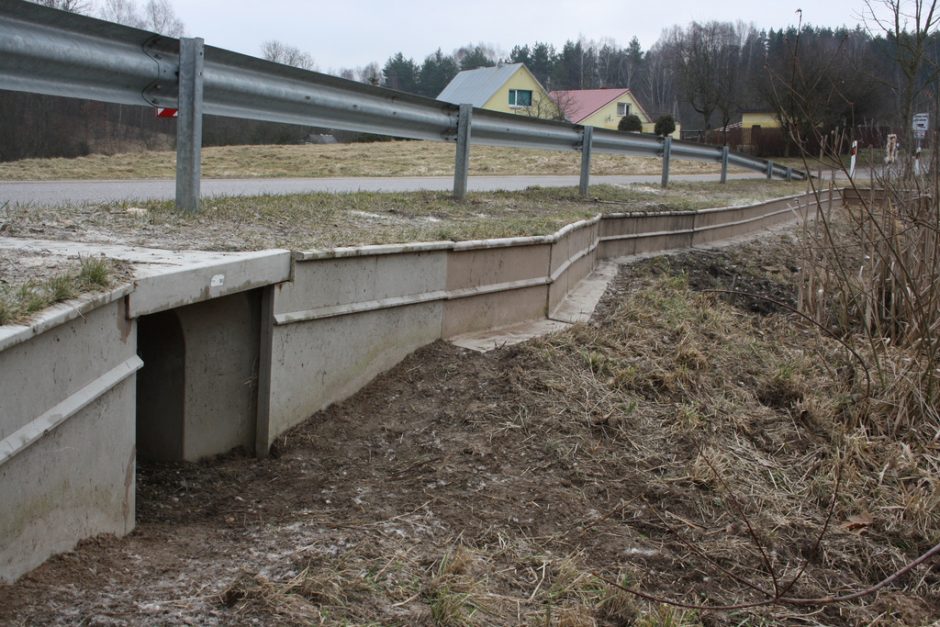 Vilniuje įrengta pirma požeminė perėja varliagyviams