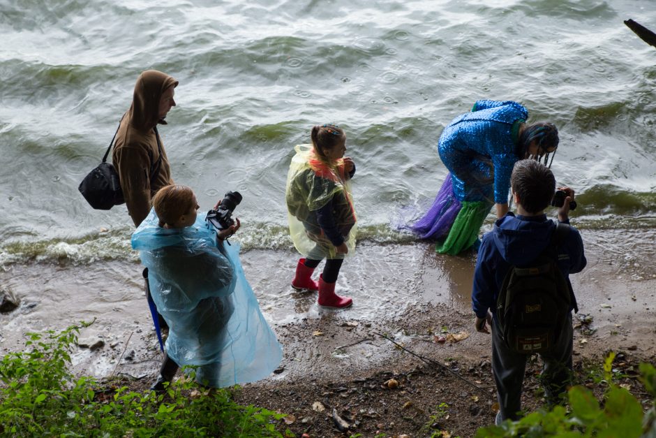 Prie Kauno marių  – undinėlės gelbėjimo akcija