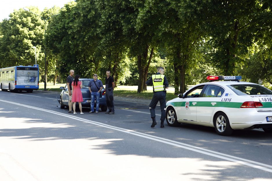 Briedis Klaipėdoje sukėlė avariją