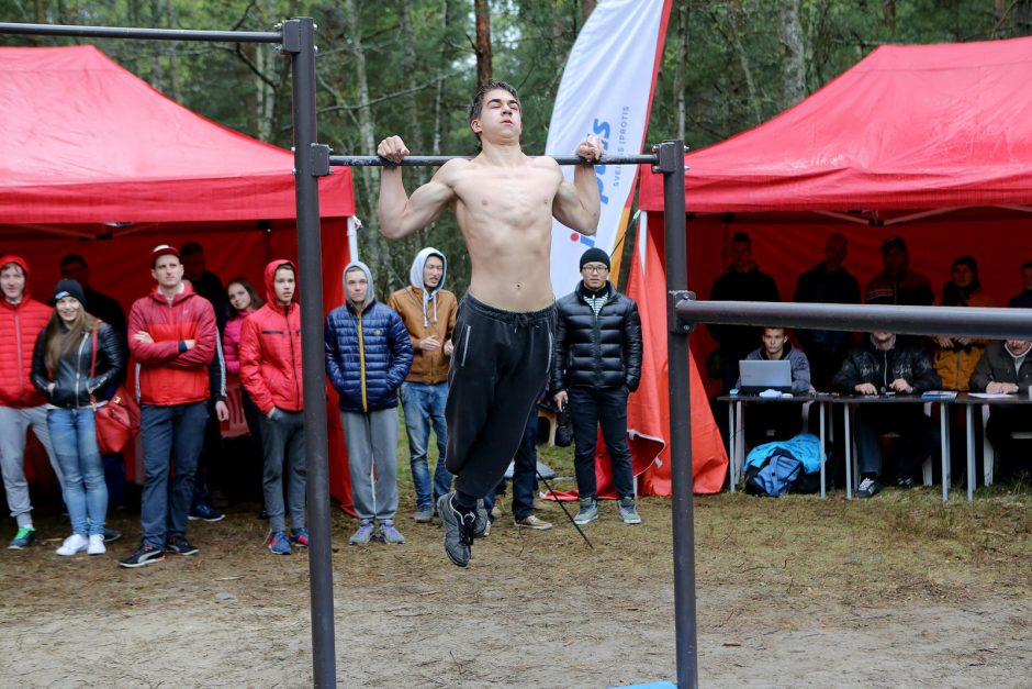 Gatvės gimnastika